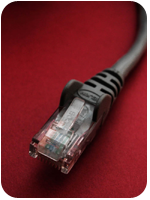 Network Cable